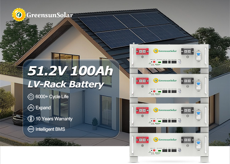 51.2V LITHIUM BATTERY 100AH