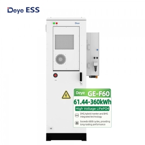 DEYE GE-F60 HV BATTERY